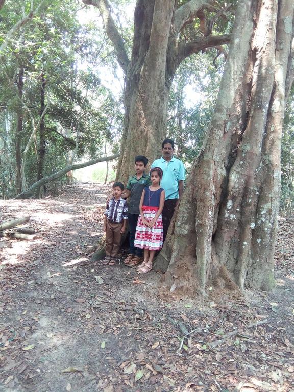 Wayanad Homestay Mananthavady Εξωτερικό φωτογραφία